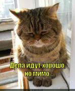 dela-idut-horosho_1338263498.jpg