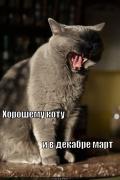 mart_1340732409.jpg