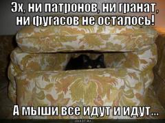 a-myshi-vse-idut-i-idut..._1301215465.jpg