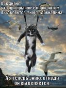 mnogo-adrenalina_1347544935.jpg