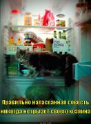 pravilno-nataskannaya-sovest_1341986098.jpg