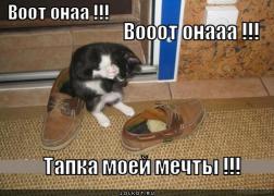 tapka-moyey-mechty_1327828650.jpg