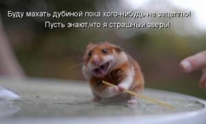 2012-10-10_163949.jpg