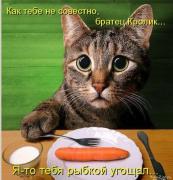 2012-10-10_141149.jpg