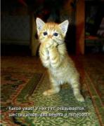 2012-10-10_141406.jpg