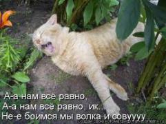imagesCAO1C442.jpg