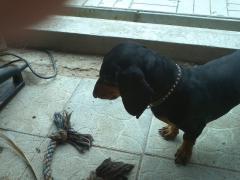 IMG116.jpg