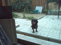 IMG117.jpg