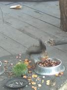 IMG059.jpg