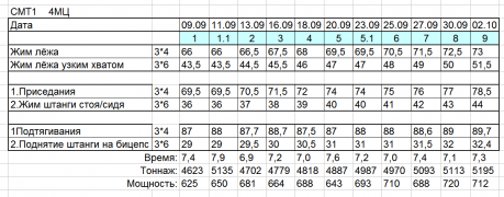 Отчёт СМТ 4мц.png