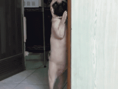 doc87497724_199805963.gif