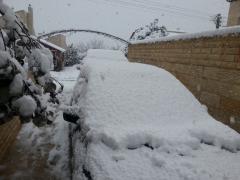 20130110_090730.jpg