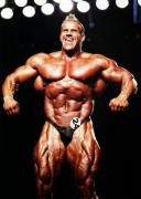 JayCutler-IRN-Nov13-MichaelNeveux-107.jpg