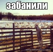 dfc155dcc1b040d27f250183711f5a44.jpeg