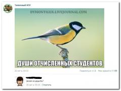0_1160d5_b01eb1ac_orig.jpg