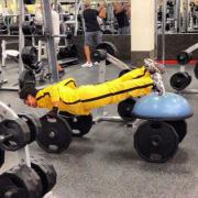 0_115479_8f6612c0_orig.jpg
