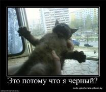 9196454f0c02a8390c4ed523f0d915eb.jpg
