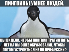 OfdxwrlVHp4.png