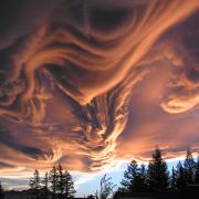 ImgofDay_1419.jpg