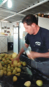 gif-29092014-013.gif