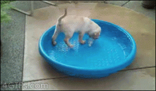 gif-29092014-012.gif