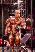 C_Lowthian_140919_OLY_0055_3114_s_0.jpg