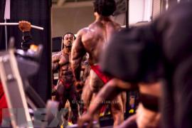 C_Lowthian_140919_OLY_0016_2867_s_0.jpg