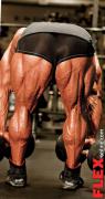 14flex_fouad_stiff-leg-deadlift_inset.jpg