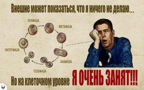 Я-очень-занят.jpg