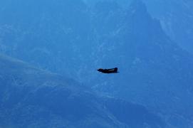 5581557_large.jpg