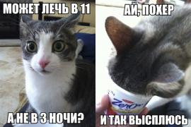 oqjzwD8EutE.jpg