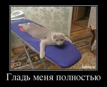 1413252066_070.jpg