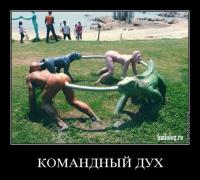 1413251650_008.jpg