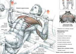Хват в кость.png