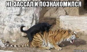 5_49956812_orig_.jpeg