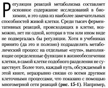 регулирование метаболизма.JPG