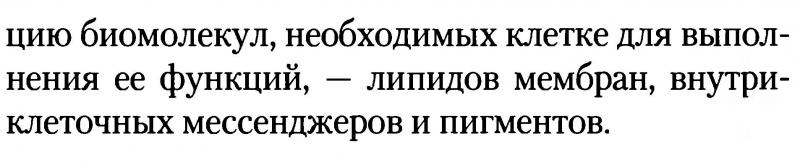 метаболизм2.JPG
