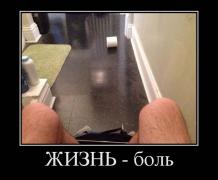1399829541_dem-13.jpg