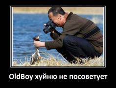 1399829541_dem-18.jpg