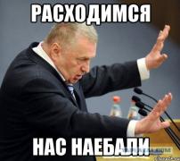 3988903.jpg