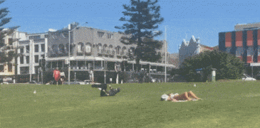 1476719148156717706.gif