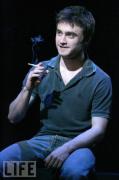 harry_006.jpg