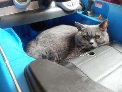 2013.04.10 - FA02.JPG