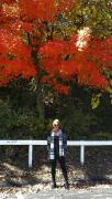 IMG_20161015_190928.jpg