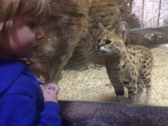 2016-10-23 11-39-13_1477245408.JPG