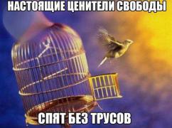 1466633387_podborka_22.jpg