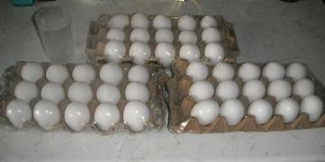 DSCF0008.JPG