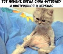 IMG_1488.JPG
