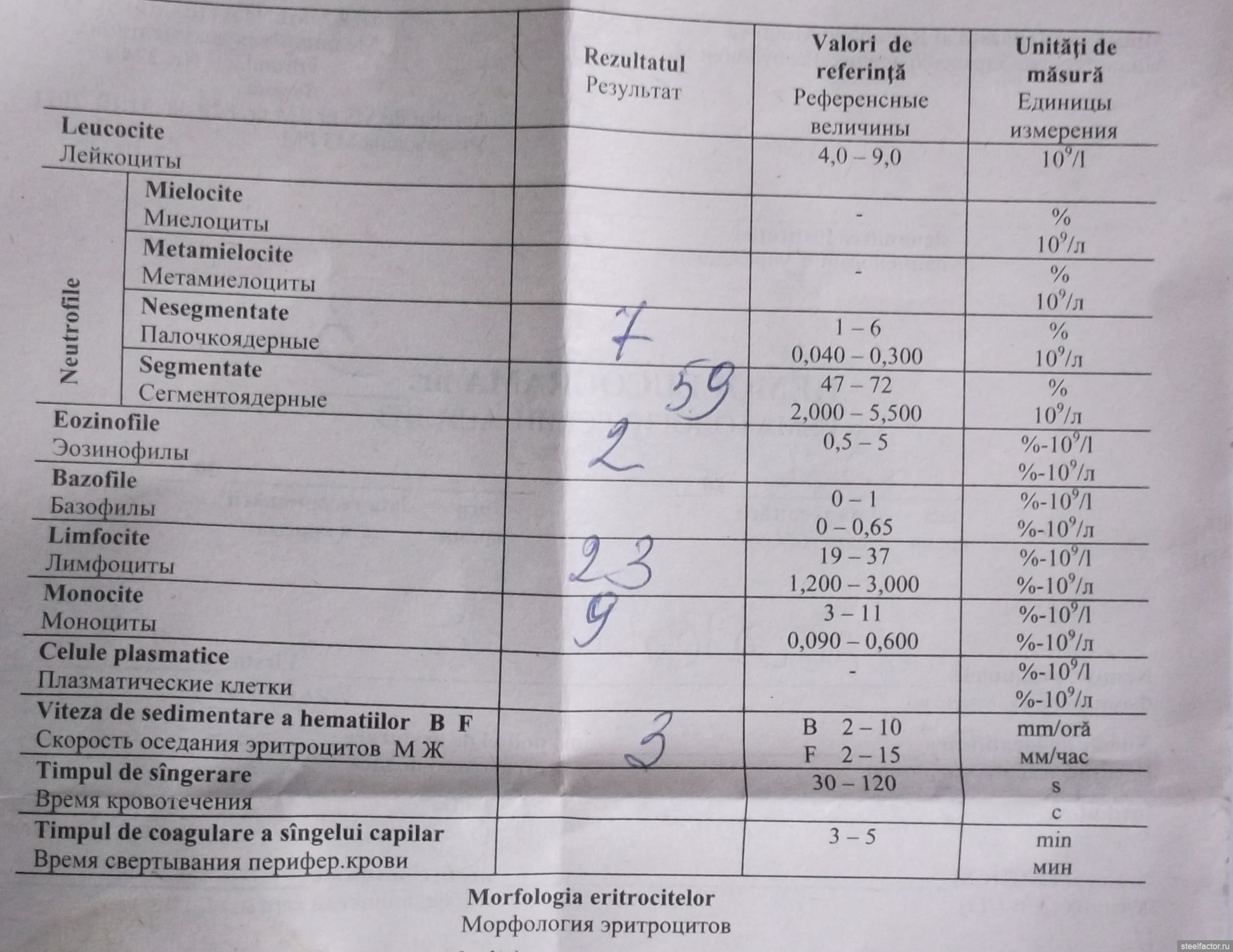 Лейкоциты в моче 2 триместр