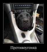 demotivatory_30 (3).jpg